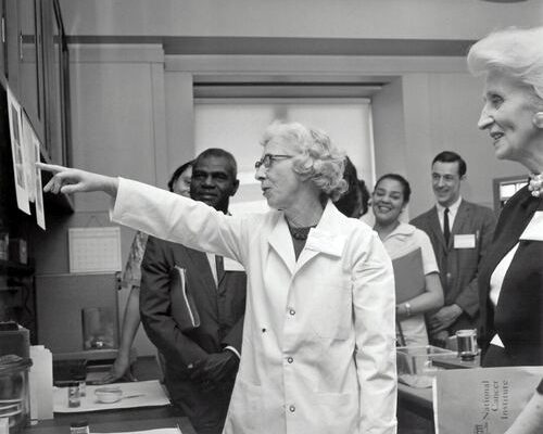 The Intersection of Research and Education: The Crucial Role of Alzheimer's Associations