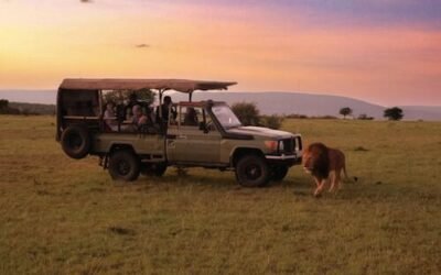 The Geography of Biodiversity in the East African Savannah